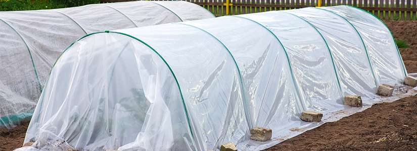 protect-garden-from-freezing-temperatures
