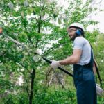 How Much Does Tree Pruning Hornsby Cost for Different Tree Types?
