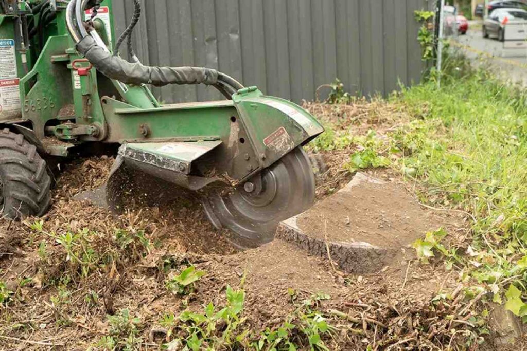 Stump Grinding Sydney