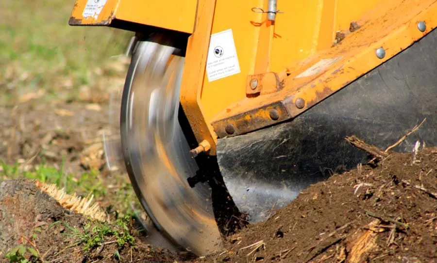 Stump Grinding Sydney